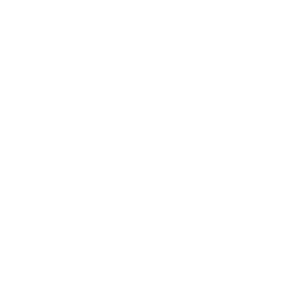 Balstroem logo